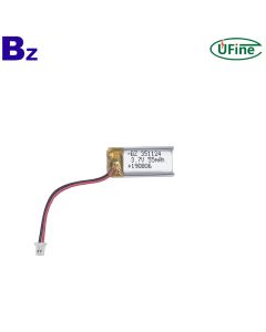 55mAh 충전식 리튬 이온 폴리머 배터리