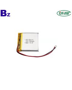 리튬 전지 제조업체 뜨거운 판매 1000mAh 배터리