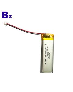사용자 지정된 500mAh Lipo 배터리