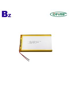 10000mAh 고용량 전원 은행 Lipo 배터리