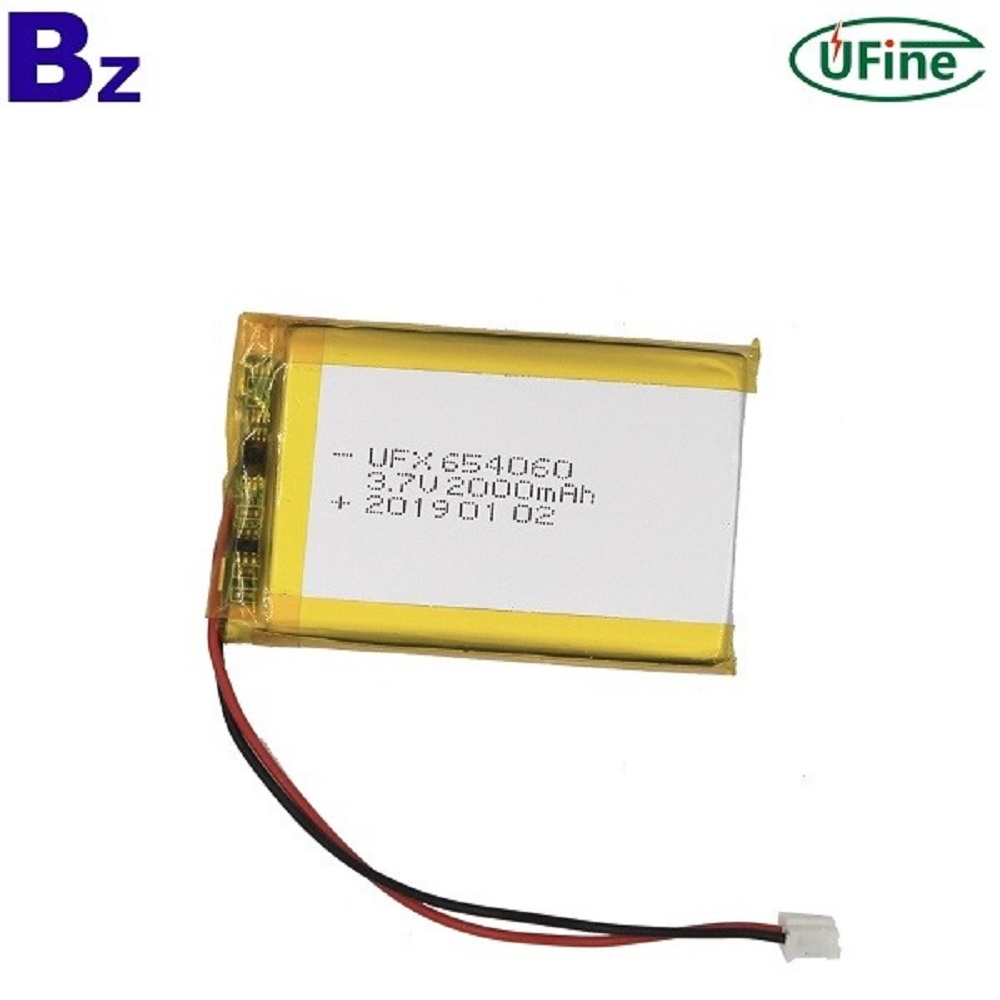 654060_2000mAh_3.7V_Lithium_Polymer_Battery_1_