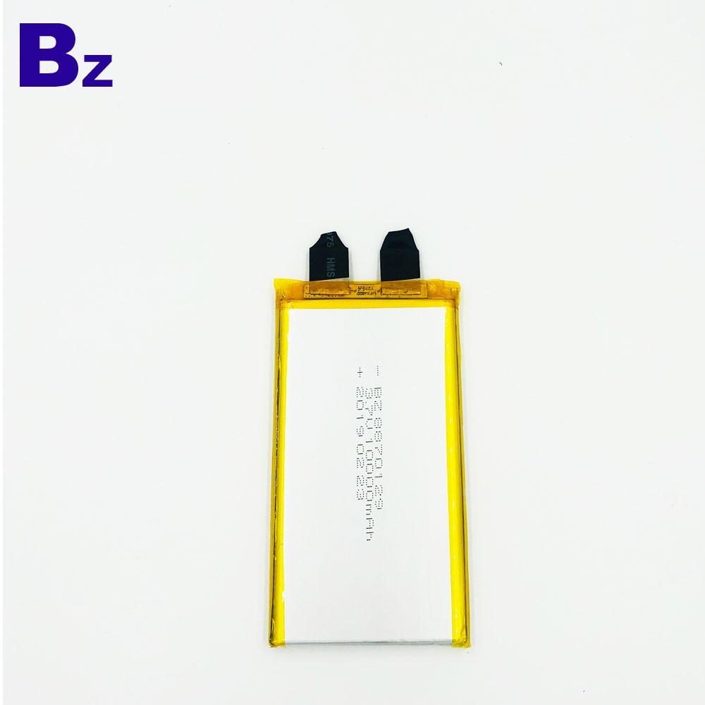 8870129_10000mAh_3.7V_lipo_battery_1